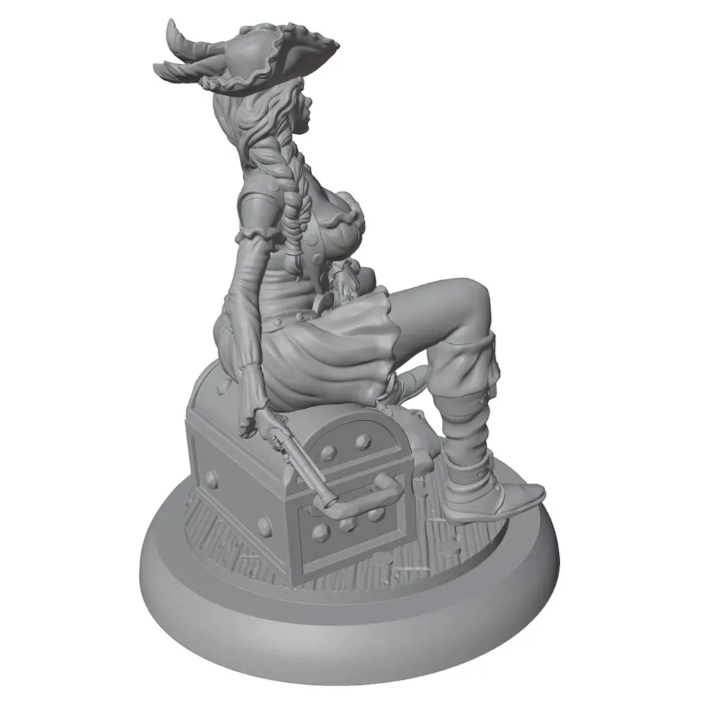 Figura pirata cofre tesoro – coleccionable para fans de gatos y perros - imagen 5