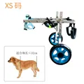 XS size 