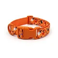 Orange Halloween