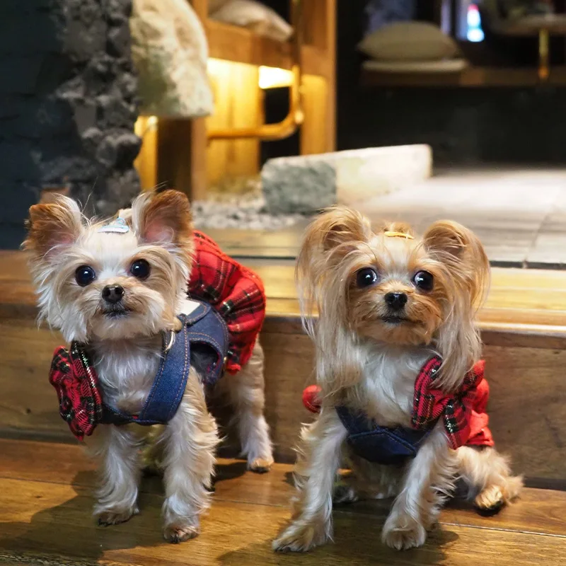 Falda de lujo con tirantes de mezclilla para perros, ropa para mascotas, falda con tirantes de mezclilla para perros pequeños, vestidos para perros para Pomerpish maltés Yorkshire - imagen 4
