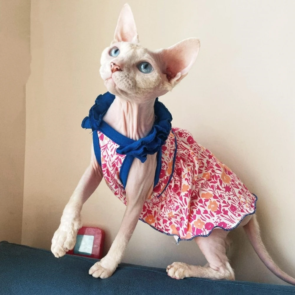 Vestido floral de algodón suave para Sphynx Cat Falda roja sin mangas para gatas Chaleco dulce para Devon Rex en primavera Suministros para gatos