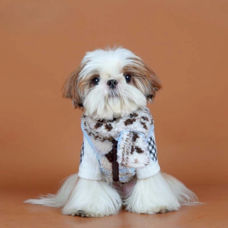 Abrigo de felpa de otoño/invierno para mascotas, conjunto de bufanda bonita, chaleco de peluche Schnauzer, abrigo, ropa para perros pequeños, ropa para cachorros