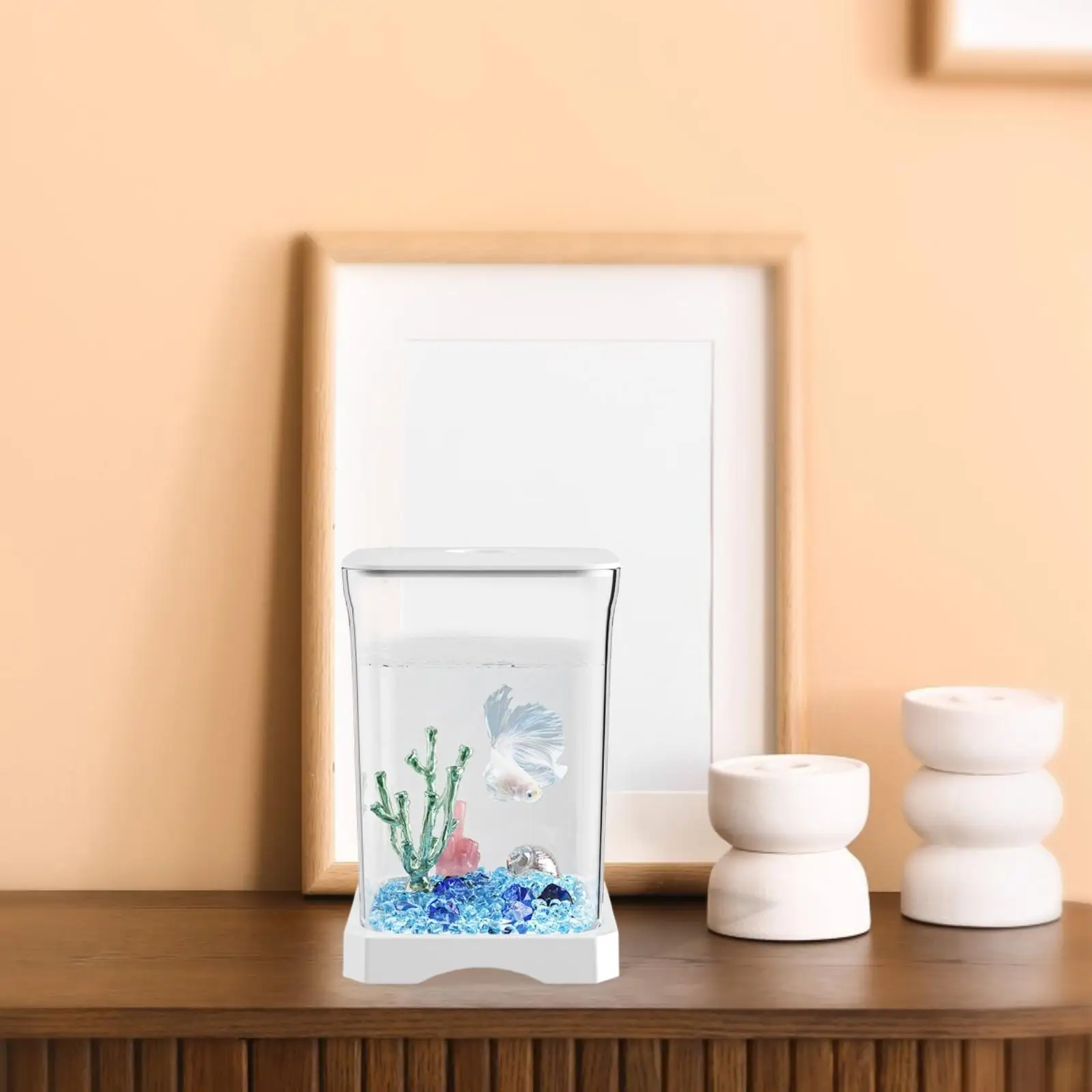 Betta Fish Tank Sturdy Amphibian Feeding Box Multiuse Reptile Terrarium Tank for Tabletop Home Living Room Hermit Crabs Lizards