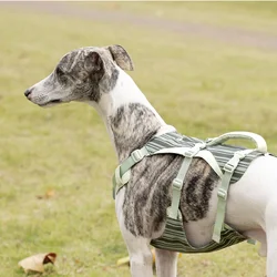 Arnés para perros ligero Ultra fino fresco en verano Arnés de lujo para mascotas con juego de correa Arnés para mascotas transpirable reflectante verde