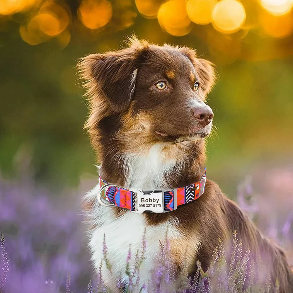 Collar de nailon personalizado para perros, collares de identificación personalizados con nombre grabado, Collar para mascotas antipérdida para perros pequeños, medianos y grandes, ajustable - imagen 5