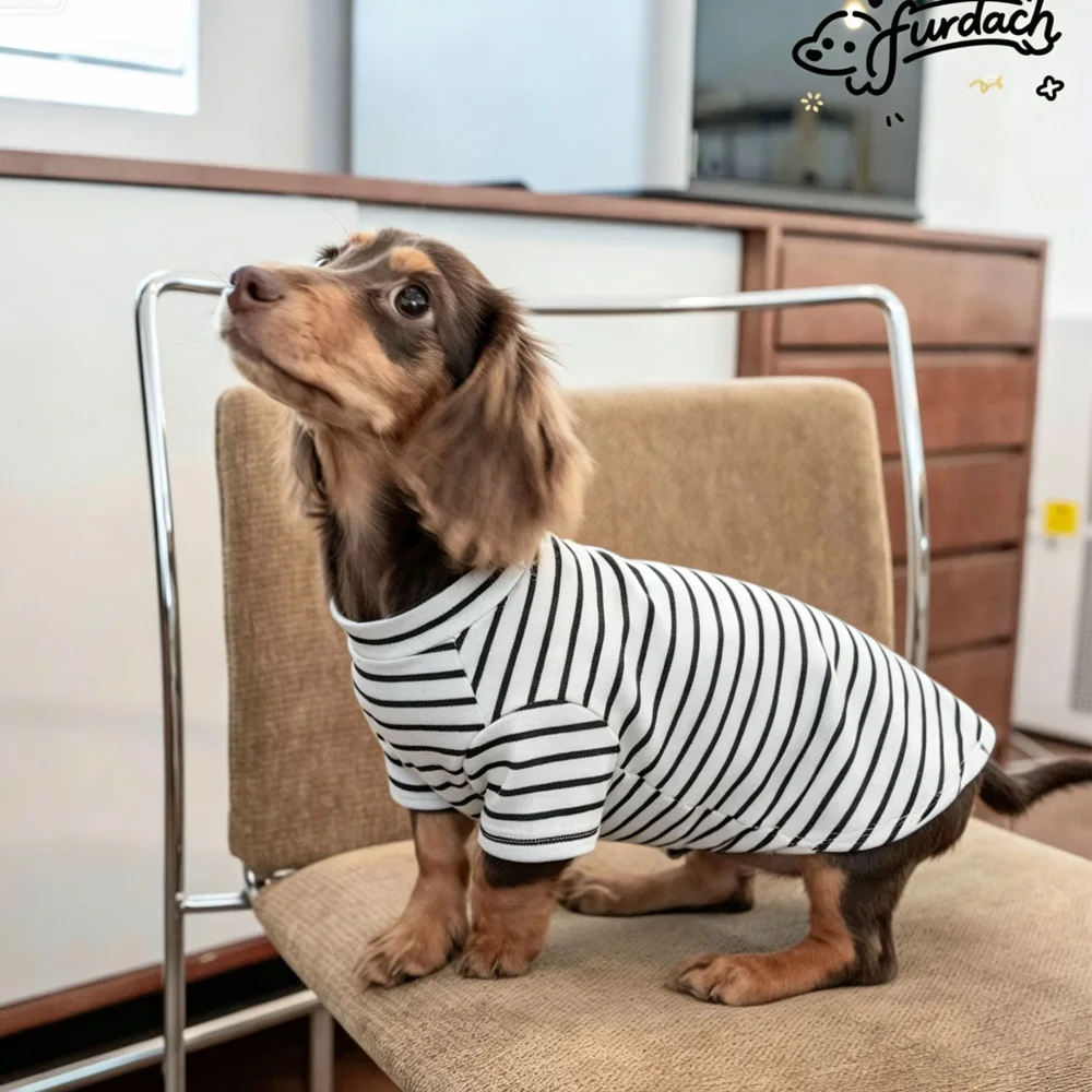 Camiseta de algodón a rayas para perros Dachshund, verano y primavera - imagen 4