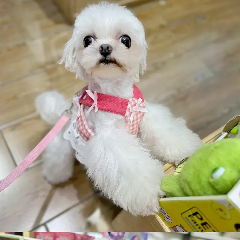 Collares para mascotas, arnés de encaje de fresa para perros, conjunto de correa, chaleco, correa de pecho de encaje, cuerda de plomo para caminar para cachorros, suministros para perros pequeños y medianos - imagen 5