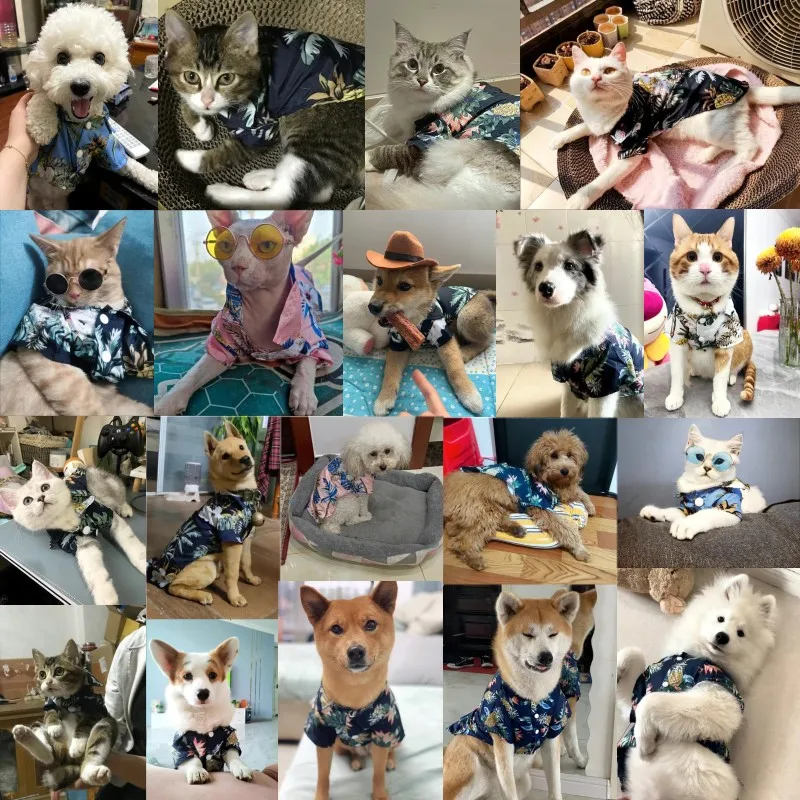 Camisa hawaiana de estilo playero para perros, ropa a la moda para perros, chaleco estampado para cachorros, camisa fina transpirable para gatos, ropa para Chihuahua para mascotas - imagen 2