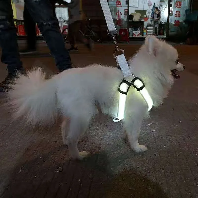 Arnés LED para perros, arnés reflectante ajustable para perros, luz nocturna, chaleco brillante de seguridad para perros, banda elástica para correr de alta visibilidad - imagen 5