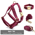 Harness Collar Set