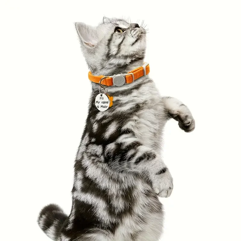 Placa de identificación personalizada para mascotas, colgante de flor de pana ajustable, Collar con etiqueta de identificación para gatos, Collar de cuello separable para perros pequeños, cachorros y gatitos - imagen 3