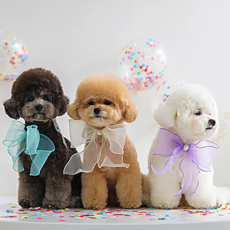 Lindo sombrero de fiesta de cumpleaños para perro, sombrero de boda, toalla de Saliva con lazo, bufanda triangular de peluche, babero de bolsillo, joyería para perro - imagen 3