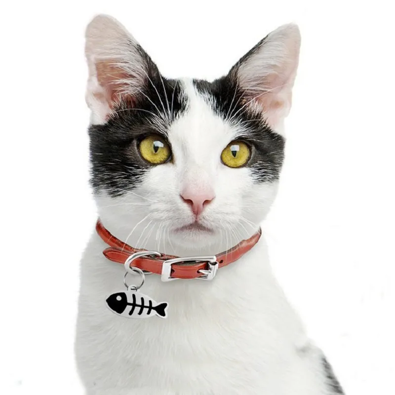 Etiqueta de identificación de mascota con grabado gratuito, etiquetas de dirección personalizadas para perros, placa con nombre antipérdida para cachorros, etiqueta colgante para gato personalizada, suministros para mascotas - imagen 3