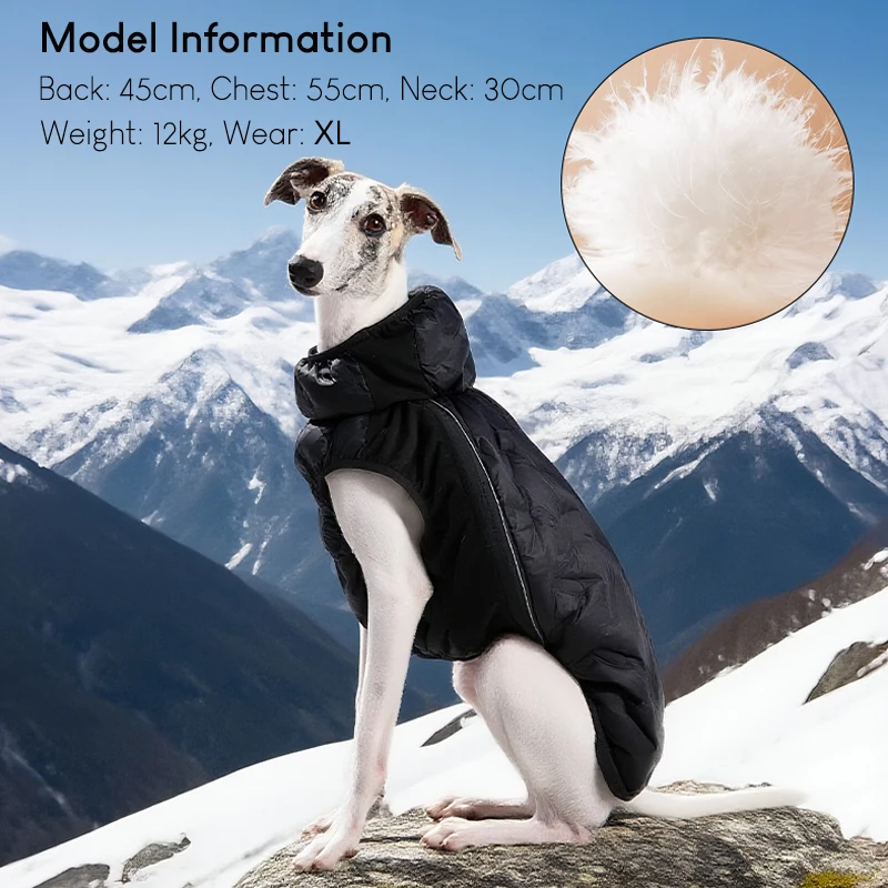 Chaqueta de plumón de pato blanco para perro, chaleco ligero y cálido de invierno para perros, abrigo elástico y cómodo, ropa impermeable para perros al aire libre - imagen 4