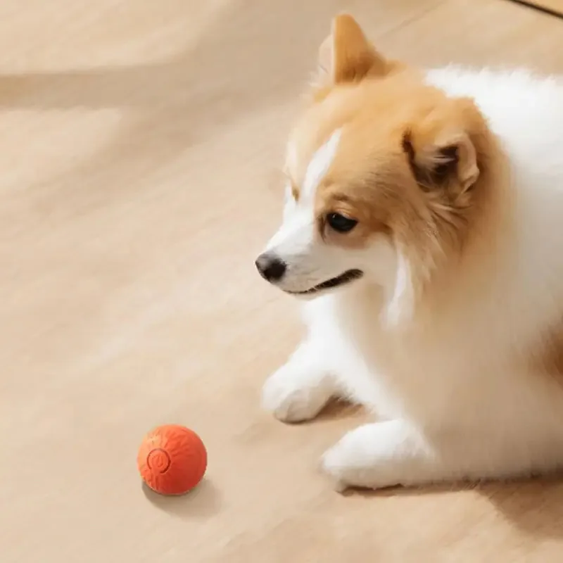 Bola de brinquedo para cachorro inteligente - Bola quicando automática recarregável USB para brincar interativo de animais de estimação mãos-livres