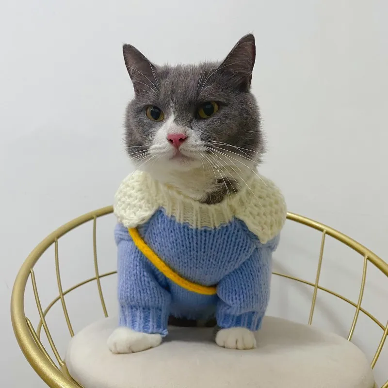 Suéter cálido para Gato, ropa de punto suave para Gatos, perros pequeños y medianos, ropa bonita para gatos con paquete de ropa para Chihuahua Yorkie - imagen 5