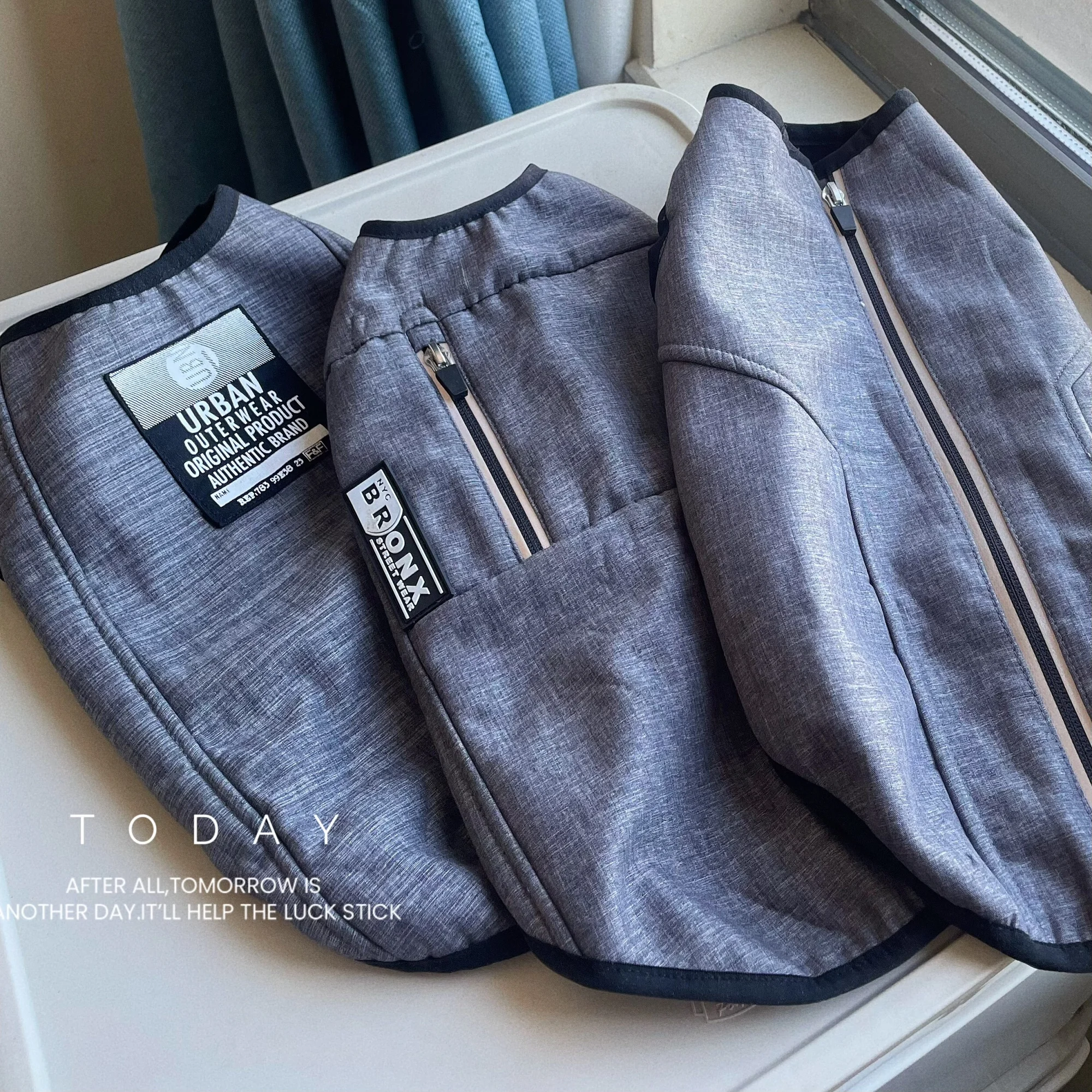 Chaqueta de lana gris a la moda para gato esfinge, abrigo cálido de invierno para gato sin pelo, chaleco grueso de manga corta para gatitos