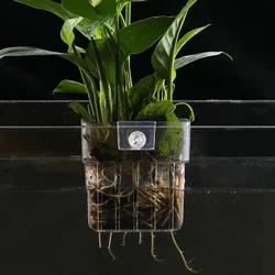 Maceta colgante para acuario – Cesta transparente para plantas acuáticas