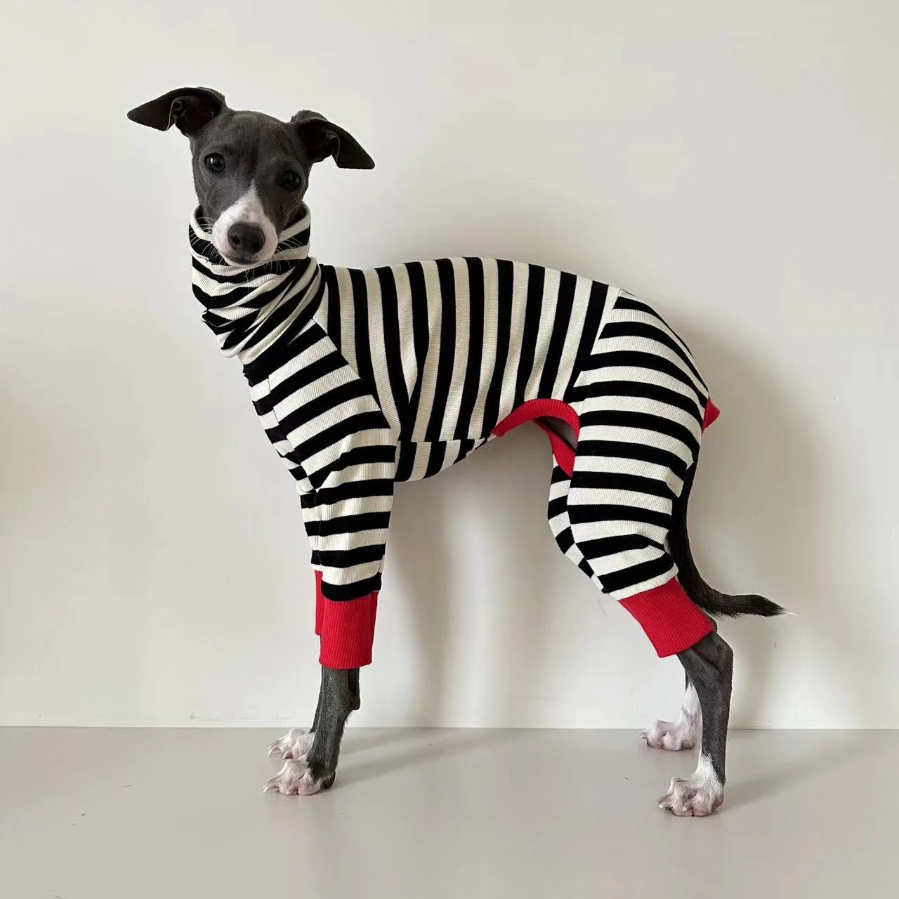Ropa italiana de cuatro patas a rayas de galgo, ropa suave y elástica para whippet, ropa cálida de invierno para perros