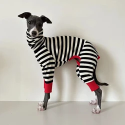 Jersey elástico a rayas para galgos y whippet – Capa térmica invierno