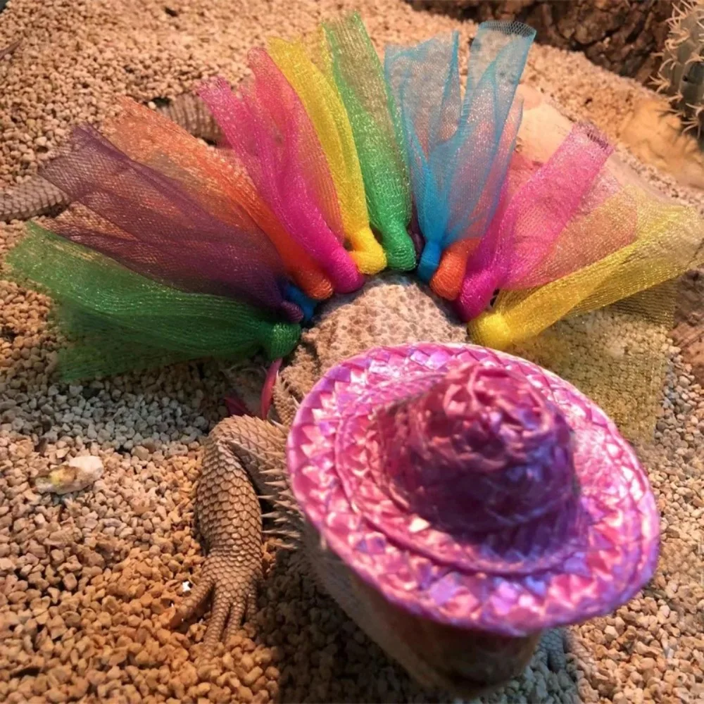 Sombrero de disfraz de dragón barbudo para lagartos, falda tutú y reptiles, disfraz para mascotas pequeñas, ropa, accesorios para fotos para Geckos, hámster, rata - imagen 4