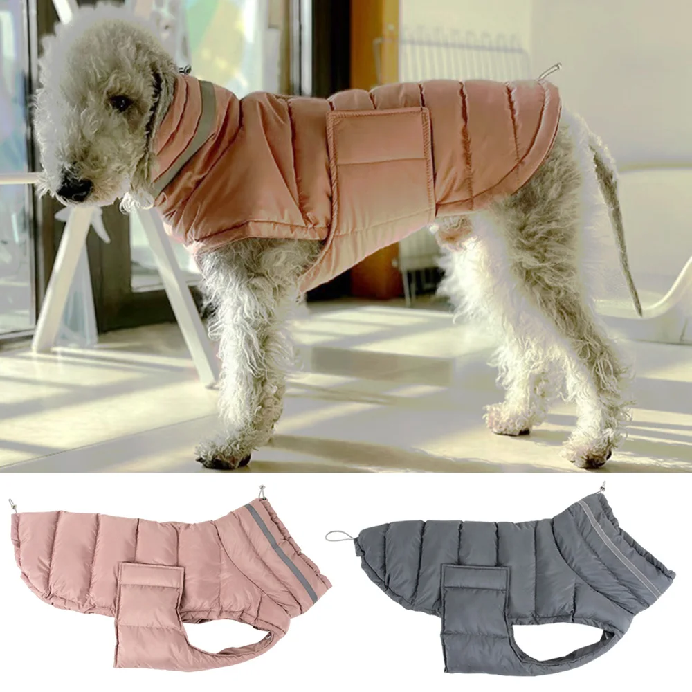 Ropa cortavientos - Vista principal de la chaqueta