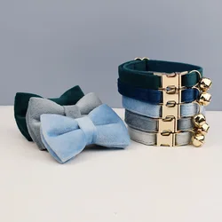 Collar lazo para gato con campana y placa personalizada