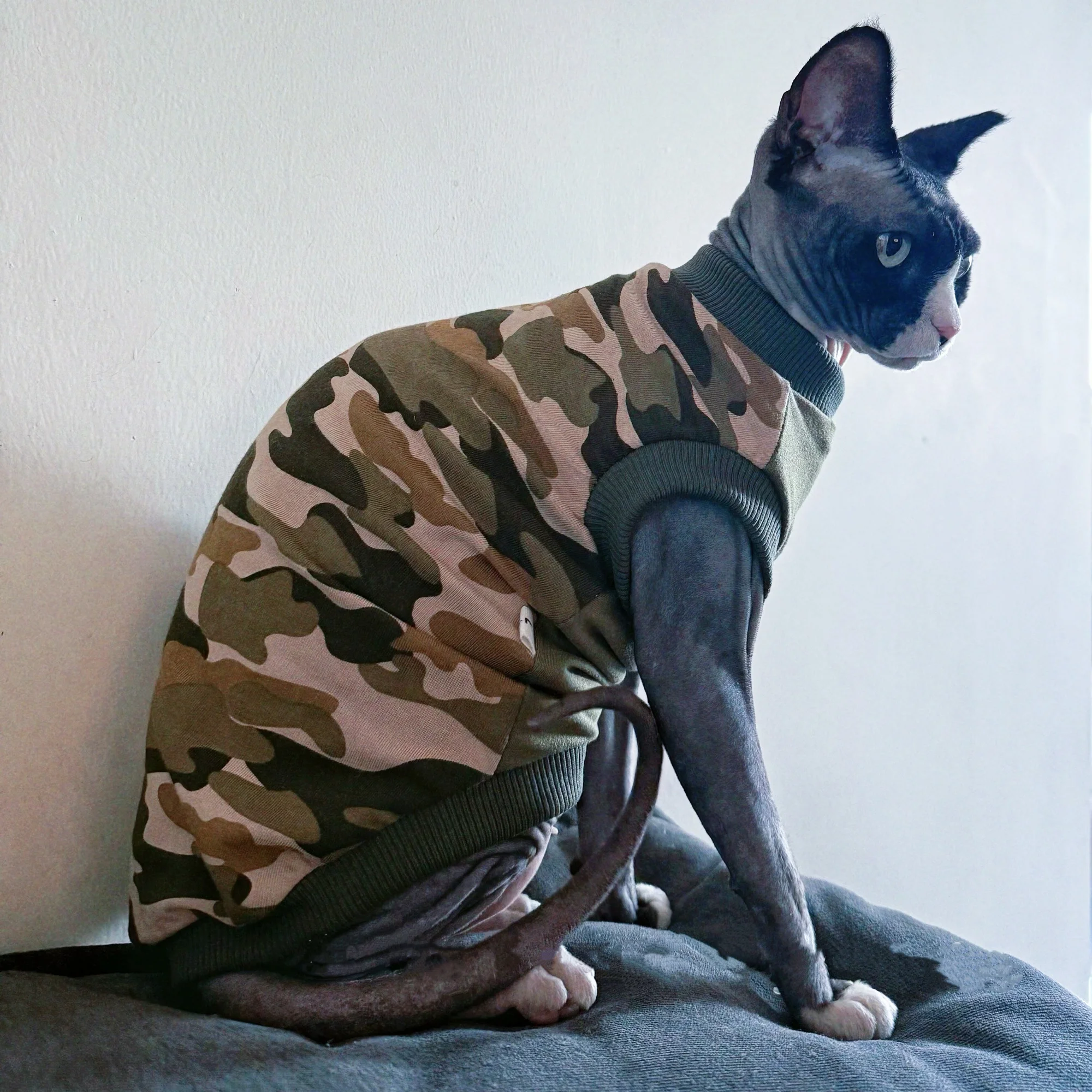 Chaleco verde militar para gatos sin pelo – Algodón suave Sphynx Devon Rex - imagen 2