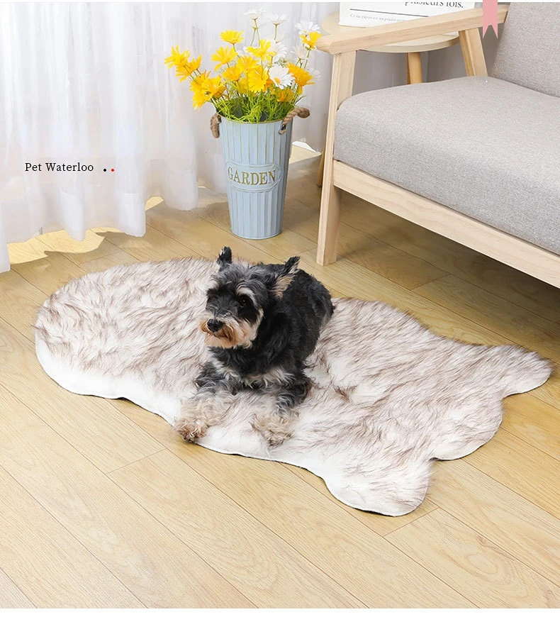 hmqViviiyNSAyin6WueXt8NRWSttLrKKpB6Z