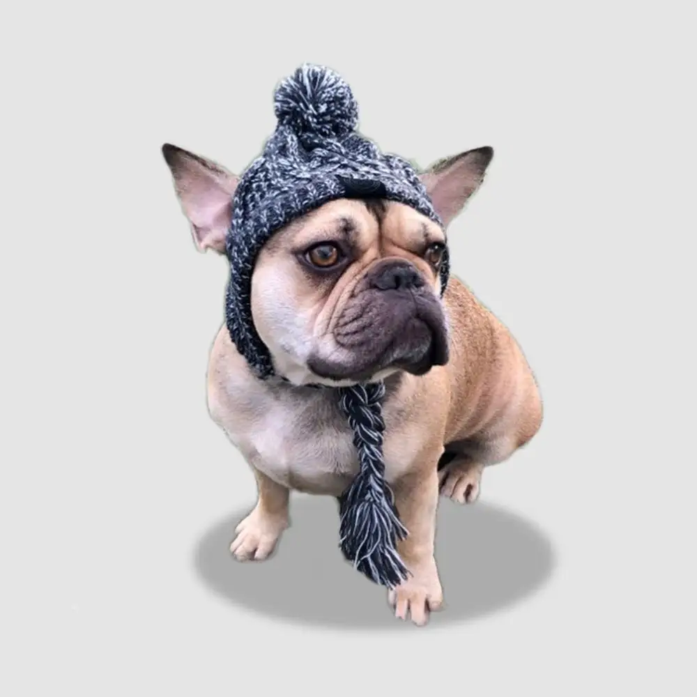 NONOR, gorros cálidos de invierno para perros, gorro tejido a prueba de viento para Bulldog Francés para perros, gorro para Chihuahua, bola esponjosa, accesorios para cachorros, sombrero para mascotas - imagen 4