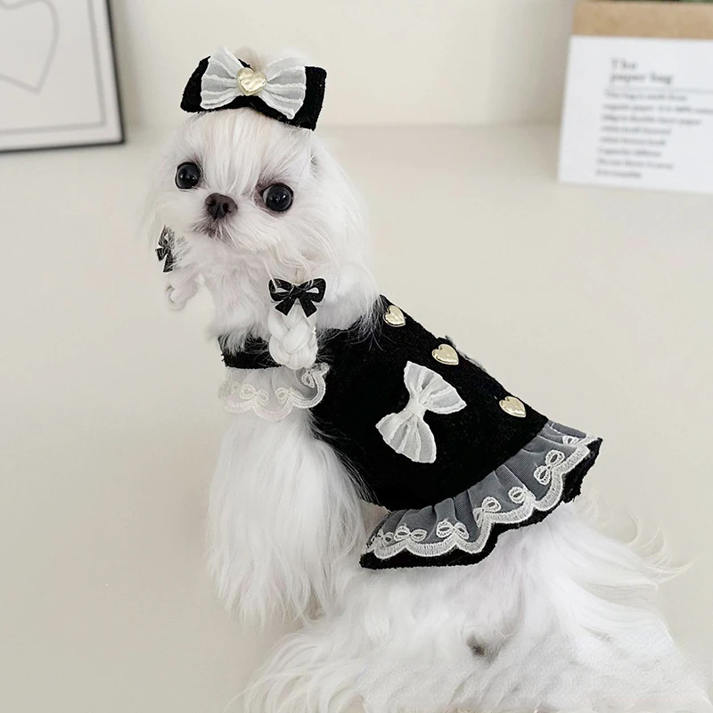 Vestido de encaje con hebilla de corazón para perro y gato, ropa con tirantes para perros pequeños, ropa para cachorros, Primavera, Otoño e Invierno - imagen 4