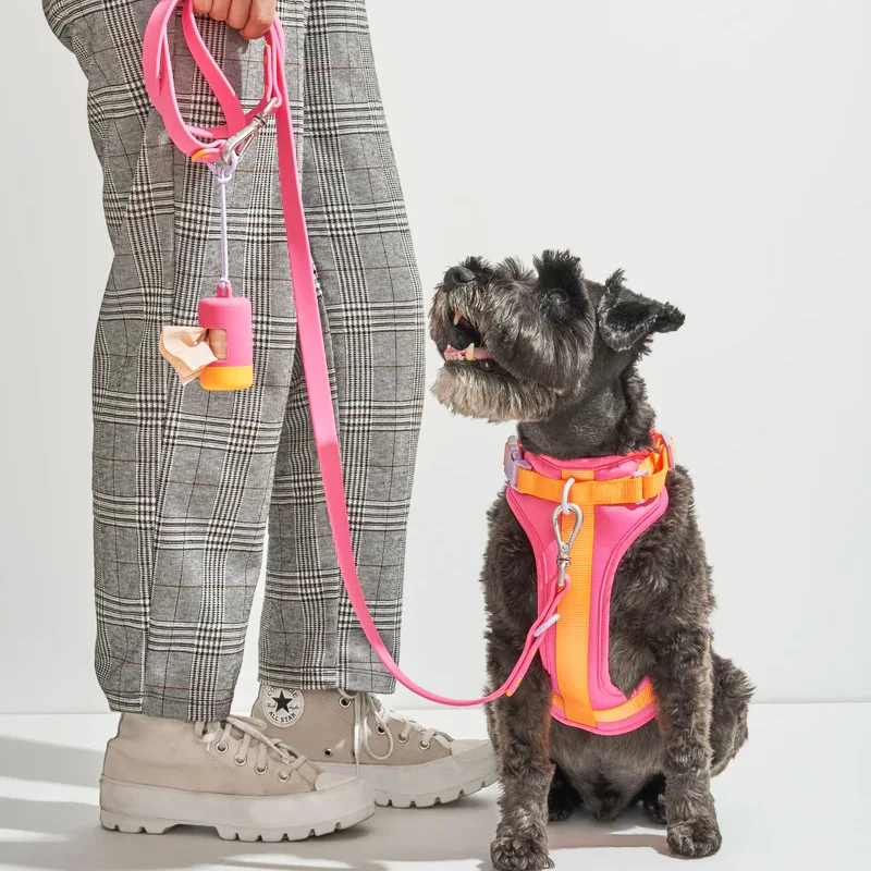 Correa para mascotas, Collar antideslizante y transpirable, cordón en el pecho, bolsa de basura, juego de almacenamiento, arneses de viaje para mascotas, suministros, accesorios - imagen 2