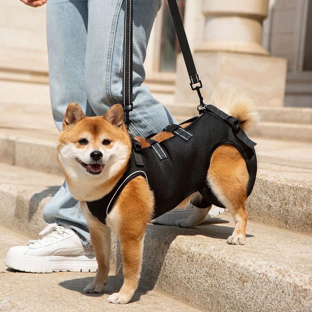 Ropa auxiliar para mascotas de alta calidad para perros mayores y discapacitados, traje de rehabilitación para deficientes, cinturón de asistencia para ejercicio para perros