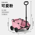 Pink Pet Car