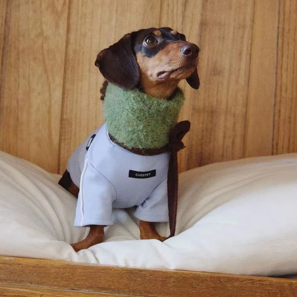 Abrigo reflectante primavera para perro Dachshund – Disfraz adorable - imagen 2