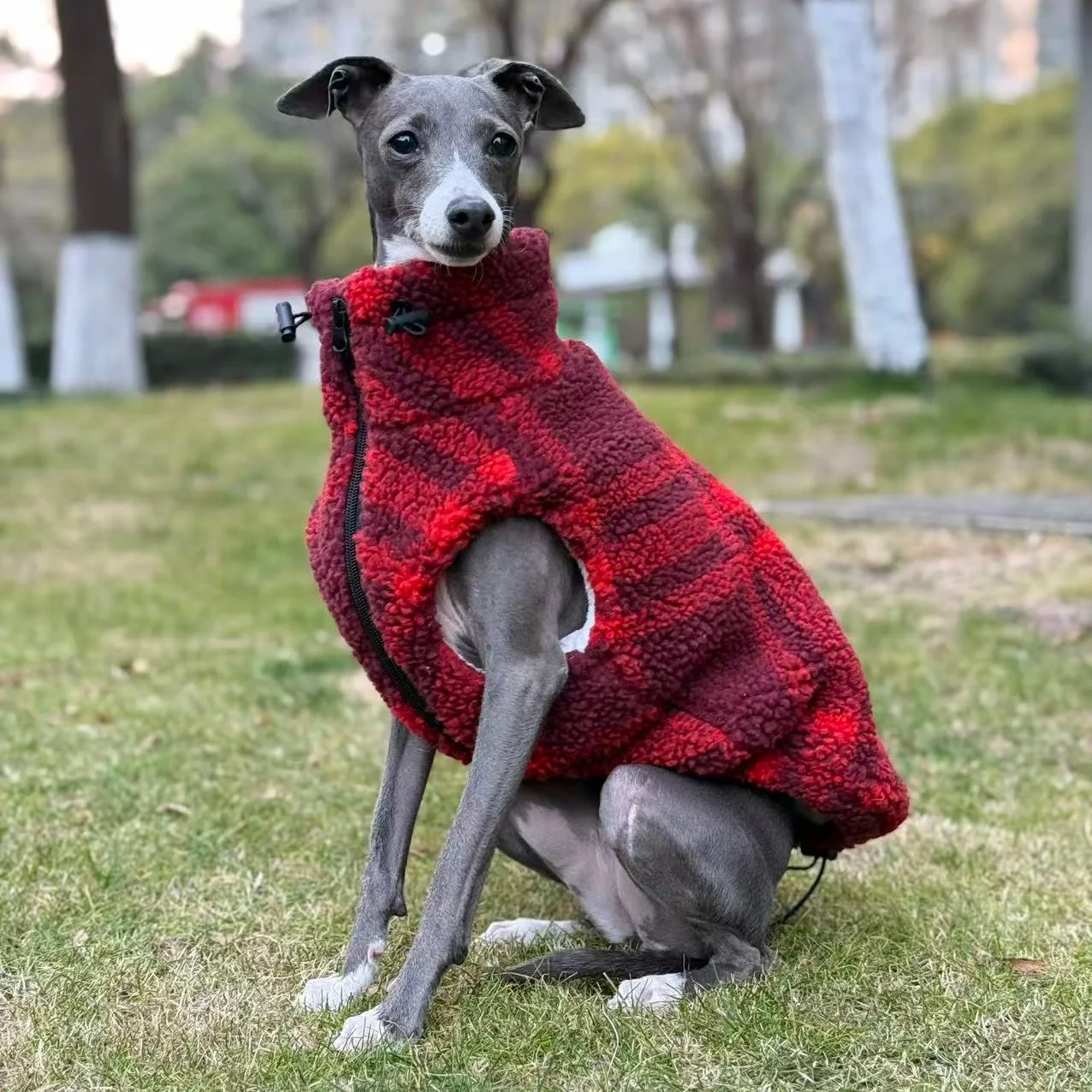 Chaqueta polar de doble cara para galgo italiano y whippet, cálida