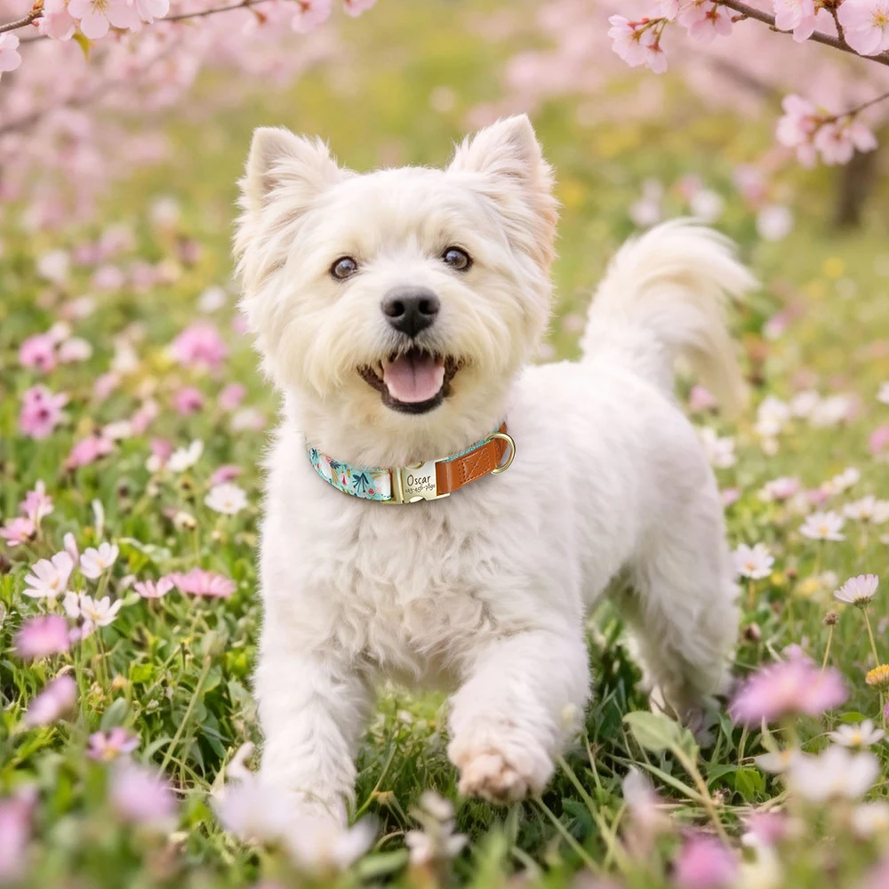 Collar para perro personalizado con grabado – Diseño floral nylon suave - imagen 3