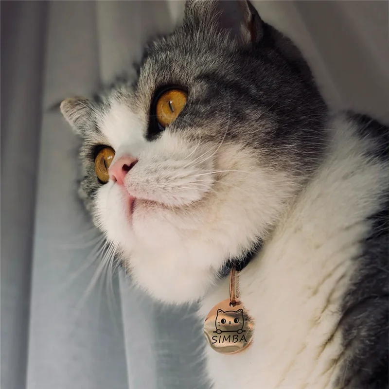 Etiquetas de identificación personalizadas para mascotas, accesorios para Collar con cara de gato, etiquetas de nombre, colgante de Collar de identificación, etiqueta antipérdida grabada gratis personalizada - imagen 3