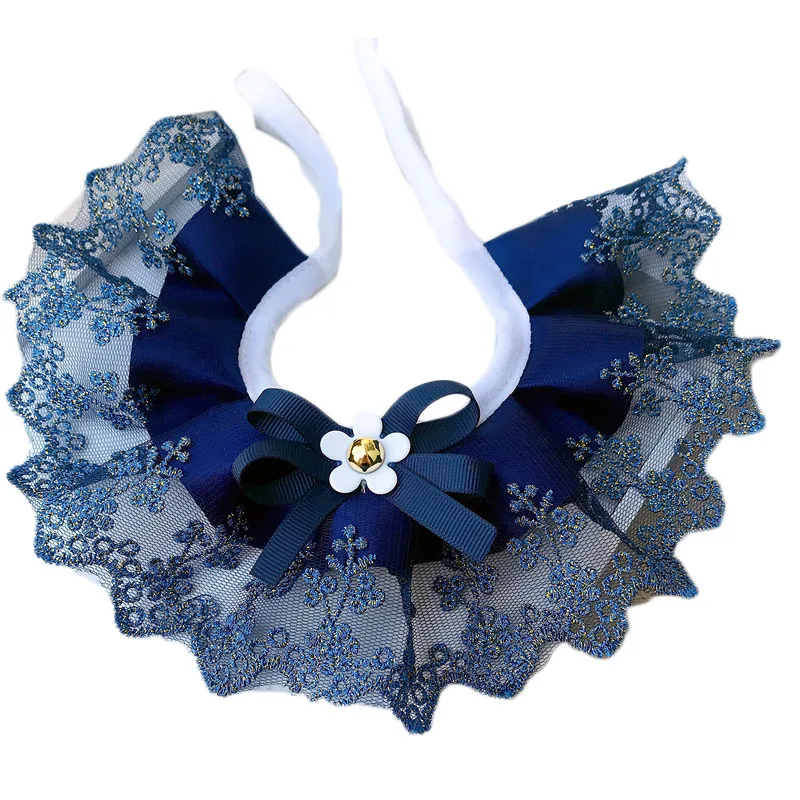 Collar Encaje - Demostración de uso en perro pequeño