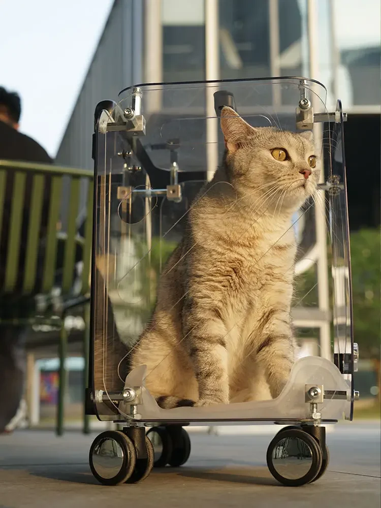 Caja de carro para mascotas, equipaje de mano transparente portátil, Maleta de viaje, estuche de aerolínea, portadores de gran capacidad, accesorios para perros