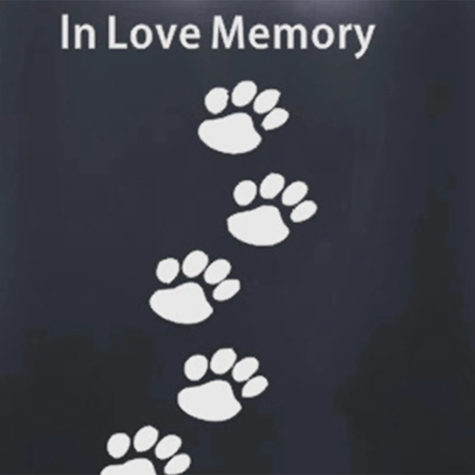 Pet Ashes Urn Burial Retain Memories Souvenir Casket Supplies Kit Stainless Steel Durable Storage Cremation Memorial Urn