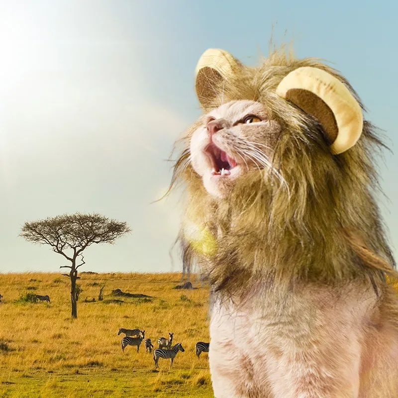 Decoración Gorro de León para Gato Accesorios para el Cabello Lindos Sombreros para Gatitos Artículos para Mascotas