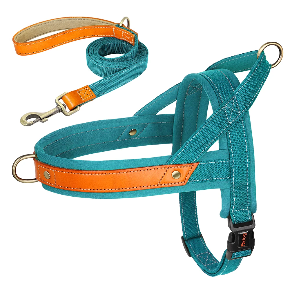 Blue Harness