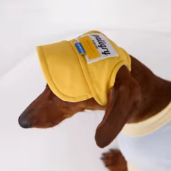 Sombrero verano protección solar perro salchicha ajustable velcro