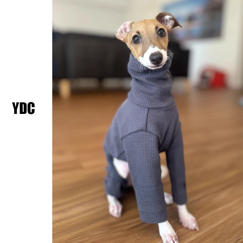 Ropa de cuello alto para mascotas, Aytumn Galgo Italiano, ropa de invierno para perros pequeños, medianos, grandes, Galgo, nueva moda