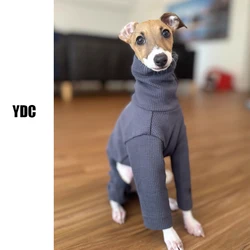 Jersey cuello alto térmico para Galgo Italiano – Abrigo de invierno