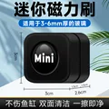 Small Black