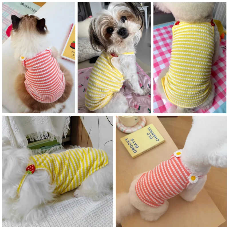 Vestido elegante de verano para perros pequeños y cachorros Pomerania - imagen 2