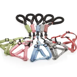Set arnés y correa para perro pequeño – Chaleco acolchado para Poodle Chihuahua