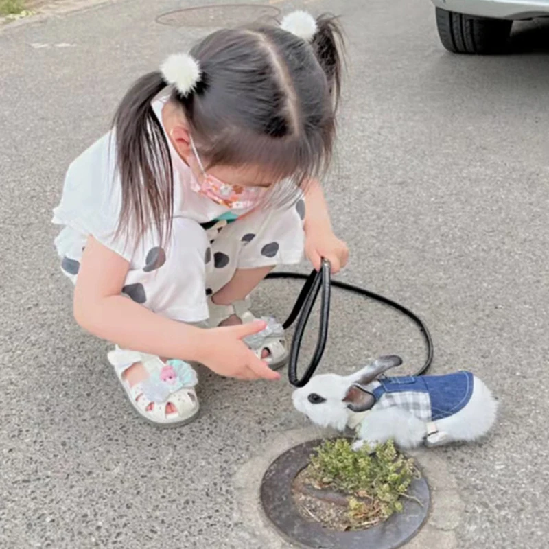 Arnés para mascotas con animales pequeños para caminar, conejos Chinchillas, conejitos vaqueros, conejillos de indias, correa holandesa, accesorios para mascotas - imagen 5